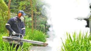 Best Mosquito Control  in Westwood Lakes, FL